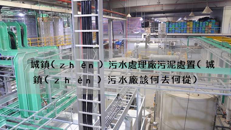 城鎮(zhèn)污水處理廠污泥處置(城鎮(zhèn)污水廠該何去何從)